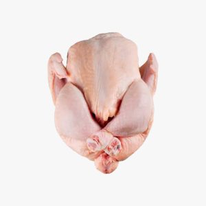 Poulet de chair
