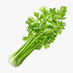 Celeri 1Kg