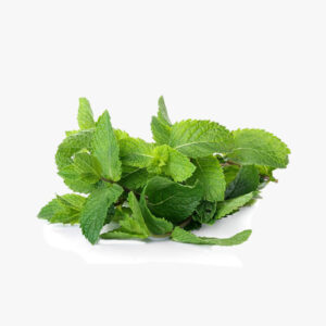 Massep 100g