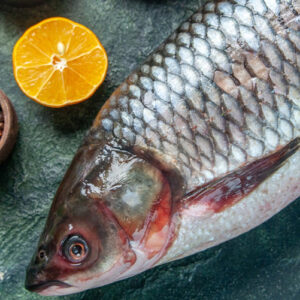 Poissons